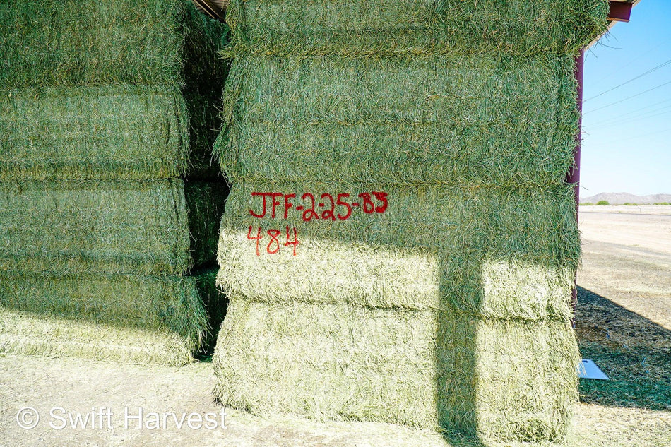 JFF-2-25-B3, Supreme, 2nd cutting, Big Bale Alfalfa Hay, CP 23.14, RFV 217, RFQ 208, TDN 63  101/110 FACS