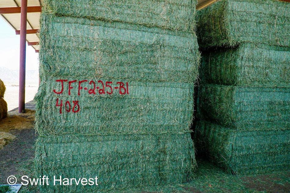 JFF-2-25-B1, Supreme, 2nd cutting, Big Bale Alfalfa Hay, CP 22.70, RFV 213, RFQ 204, TDN 62  104/110 FACS