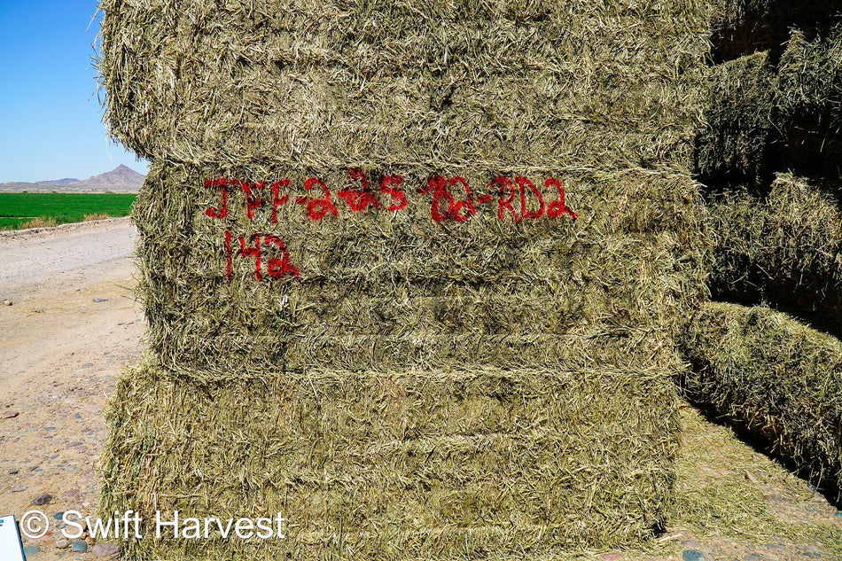 JFF-2-25-B2-RD2  Rain Damaged  Az. Alfalfa CP 23.18 RFV 155 RFQ 148 TDN 58.24 FACS /110 Non GMO, Non Roundup Ready, Steamer Hay