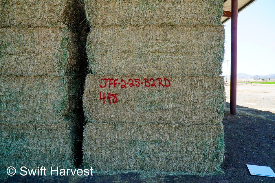 JFF-2-25-B2-RD  Rain Damaged  Az. Alfalfa CP 20.30 RFV 165 RFQ 158 TDN 60 FACS 82/110 Non GMO, Non Roundup Ready, Steamer Hay