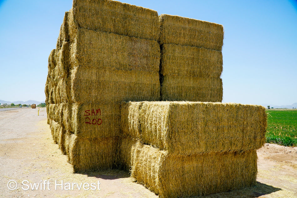 SAM 200 Big Bale Alfalfa