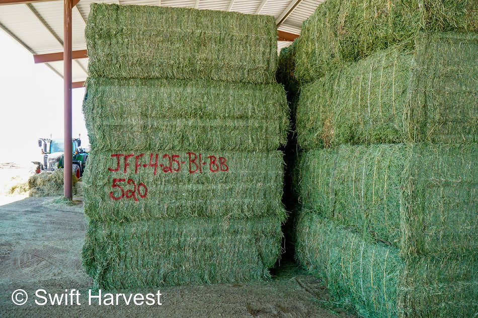 JFF-4-25-B1-BB, Good, 4th cutting, Big Bale Alfalfa Hay, CP 18.12, RFV 157, RFQ 150, TDN 59