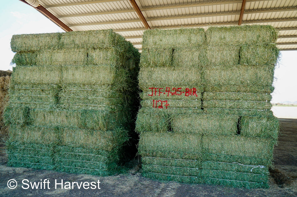 JFF-3-24-Granero 1 Premium / Supremo Az. Heno de prueba para vaporizador de alfalfa RFV 175 CP 22,74 TDN 59,89 FACS 94/110 Heno para vaporizador sin OGM, no Roundup Ready