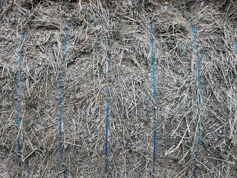 M-2-4-5 210 BB Premium CP 20.99, RFV 187.64, TDN 62.39,  AZ Alfalfa Big Bales