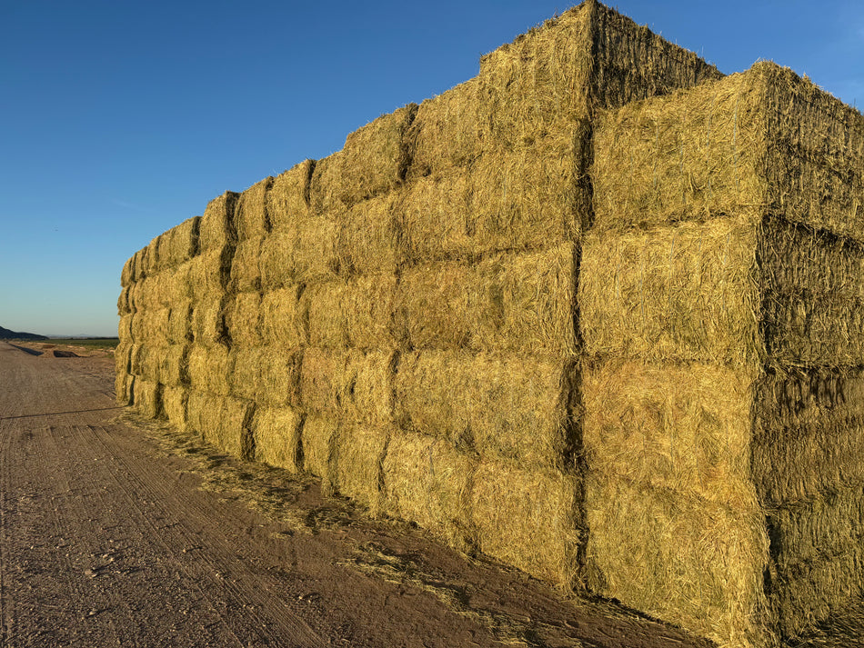 A-2-4-5-A 159 BB Premium CP 21.44, RFV 194.71, TDN 58.88  AZ Alfalfa Big Bales