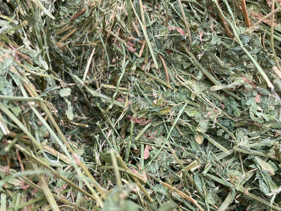 PG-7 -24-Ca Big Bale Alfala Hay