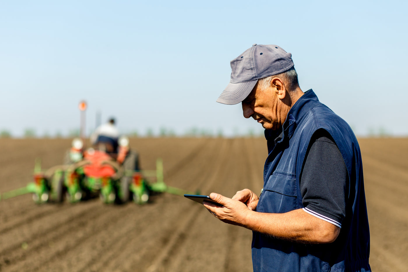 Swift Harvest Pricing USDA Grade Breakdown 08-07-2024