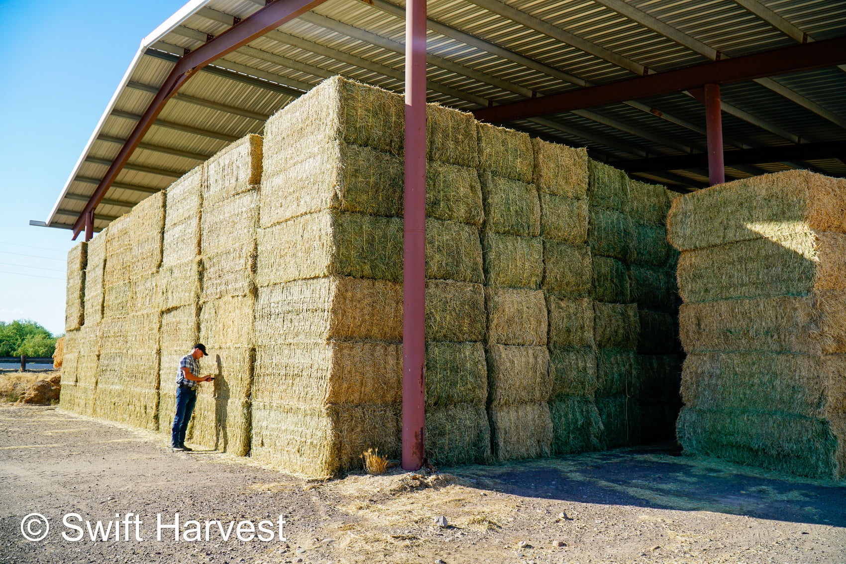 July 20 2024 Hay Market Updates