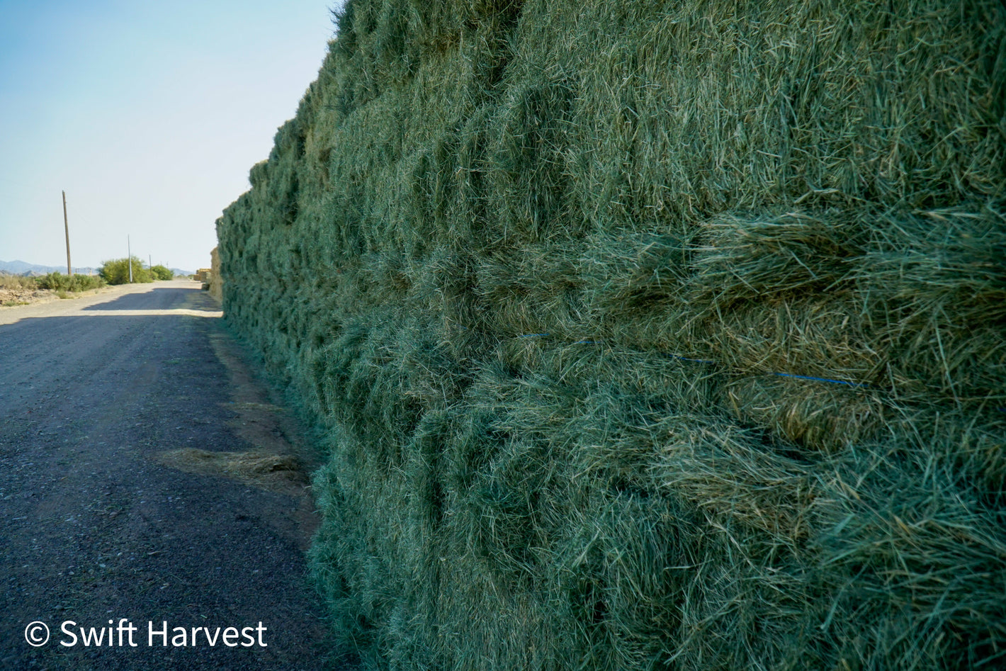 #1 Retail, Small Bale, 3 String, Arizona Alfalfa Hay, Weight 100 lbs or under - swiftharvest.net