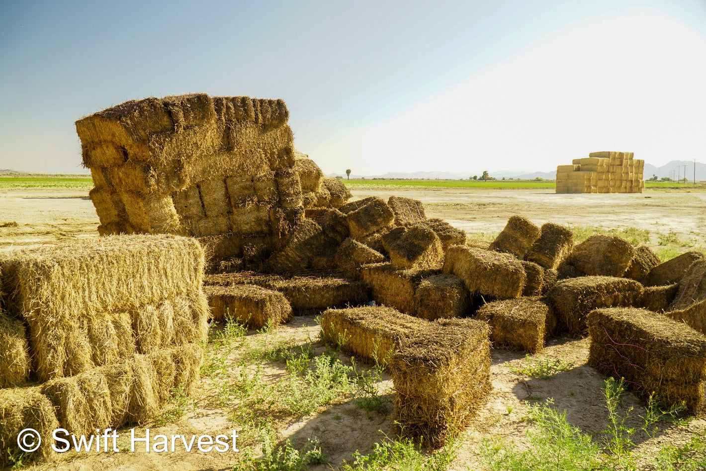 Discounted and Rain Damaged Hay