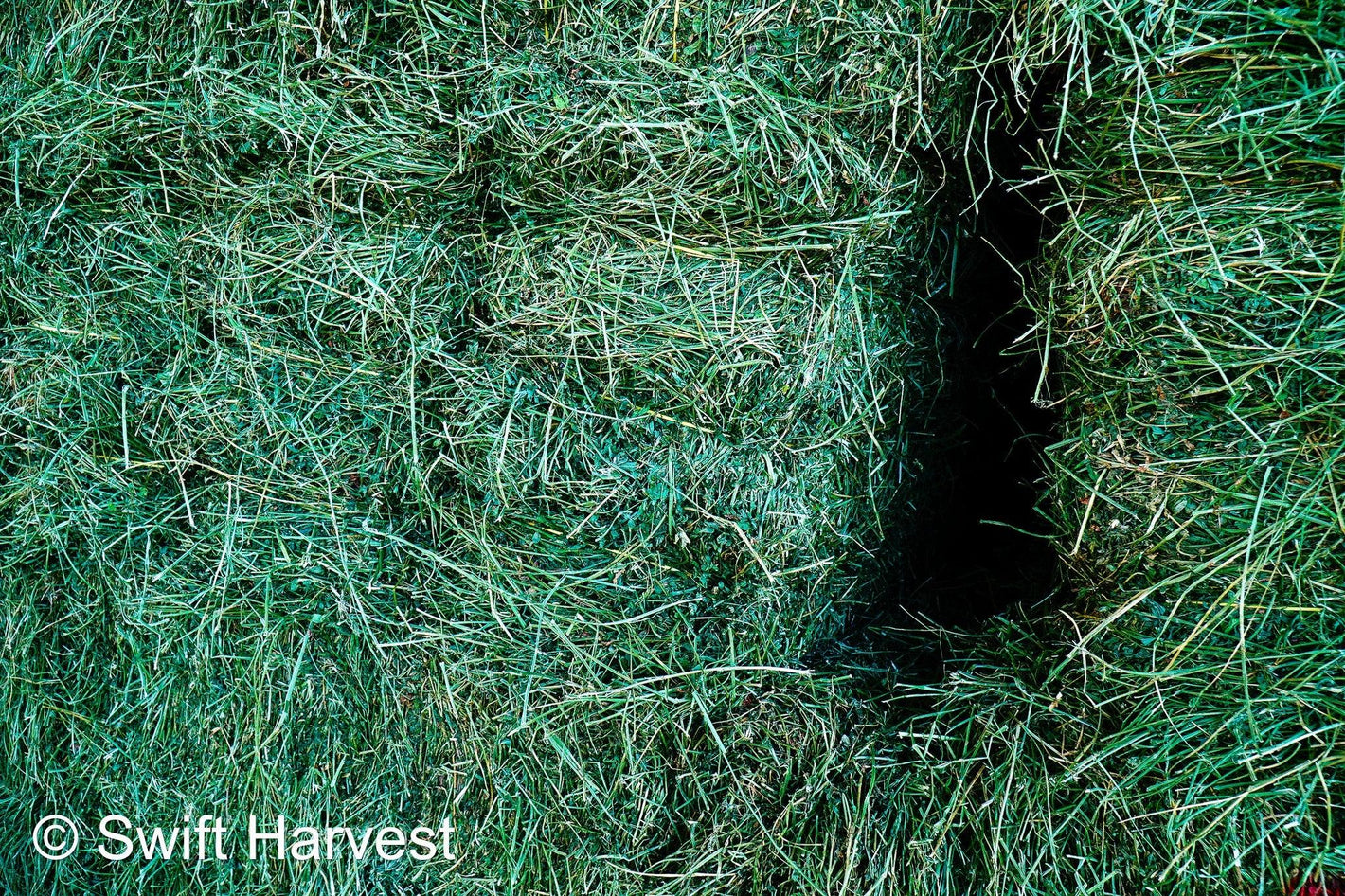 Queen Creek Arizona Local Hay Sales