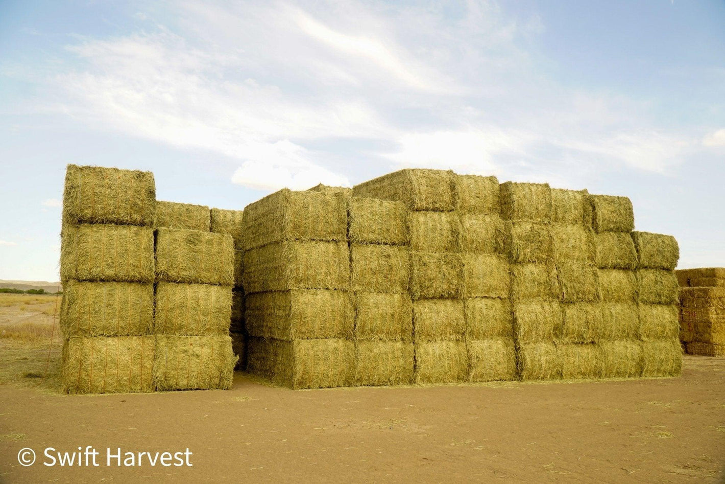 Alfalfa Big Bales - swiftharvest.net