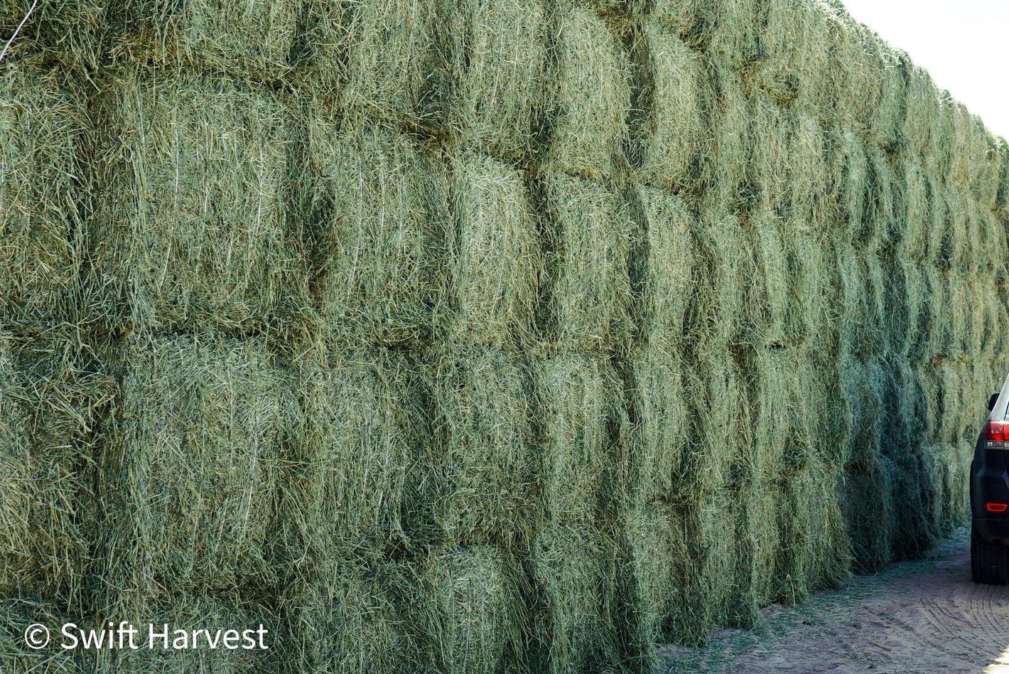 Arizona Alfalfa Good Big Bales 900+ lbs - swiftharvest.net