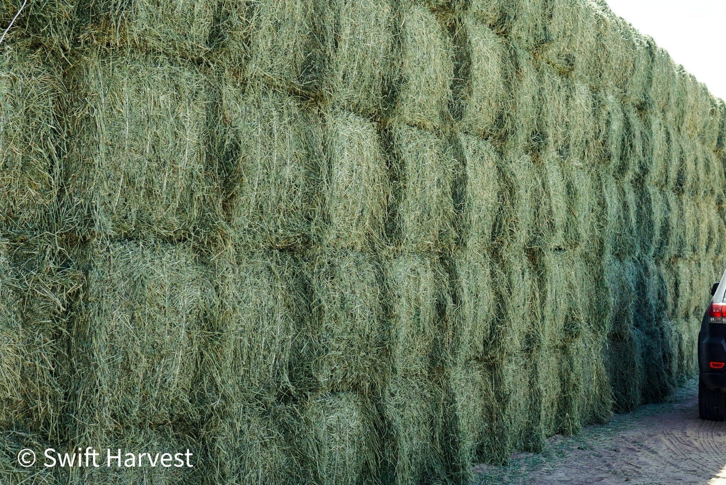 Arizona Alfalfa Good Big Bales 900+ lbs - swiftharvest.net