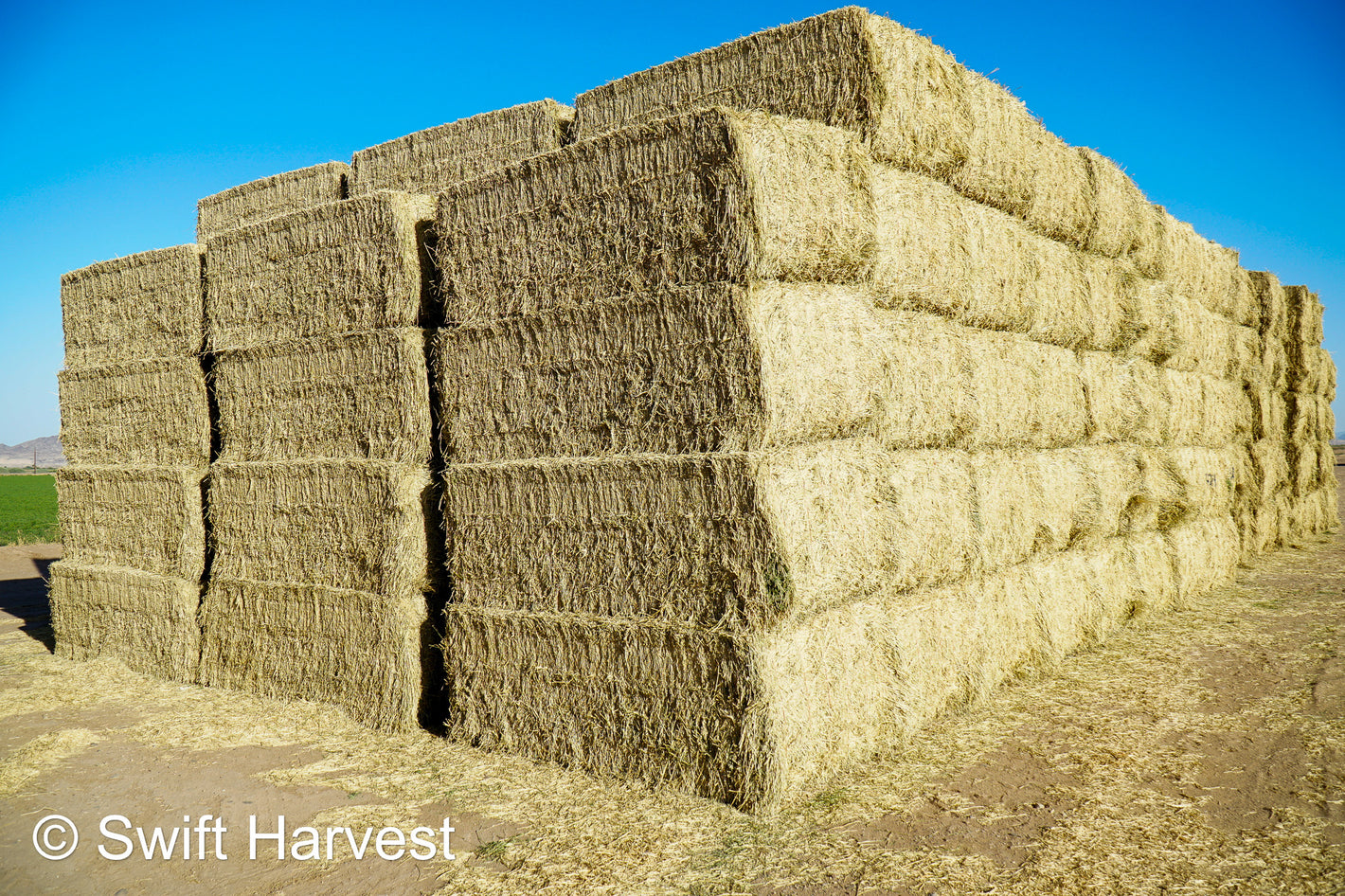 Arizona Alfalfa Utility Big Bales 900+ lbs - swiftharvest.net