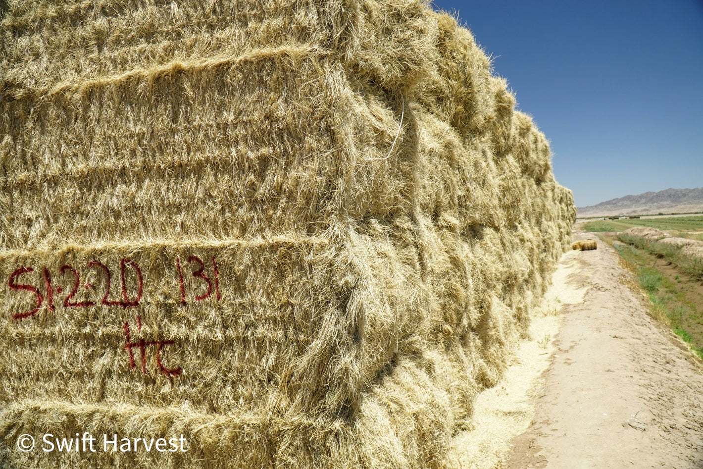 Arizona Big Bale Bermuda - swiftharvest.net