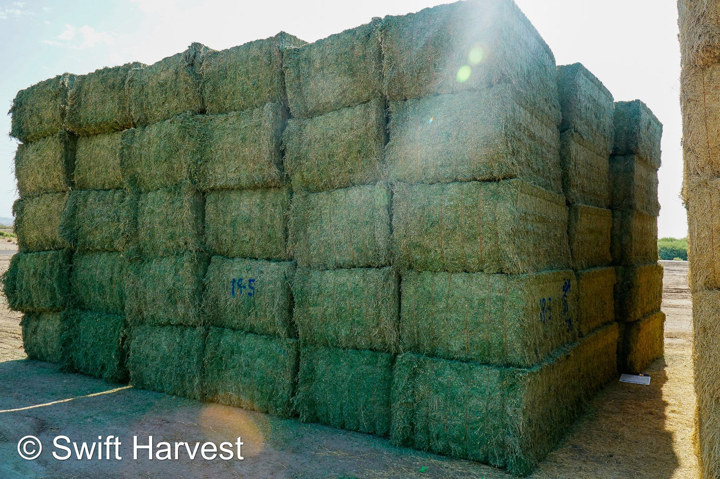 Live! Hay Auctions Priced Per Ton! - swiftharvest.net