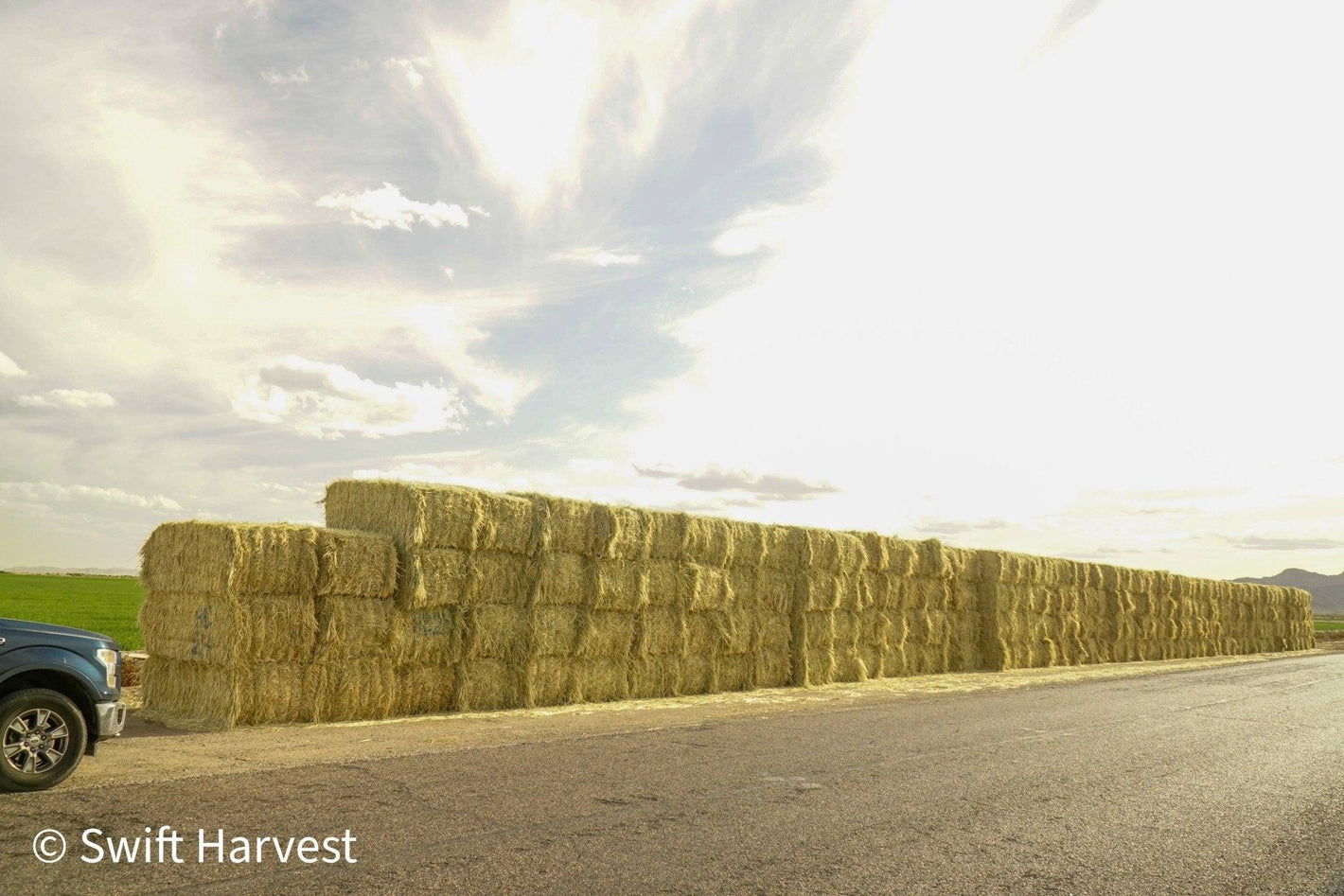 Oat Hay Big Bale - swiftharvest.net