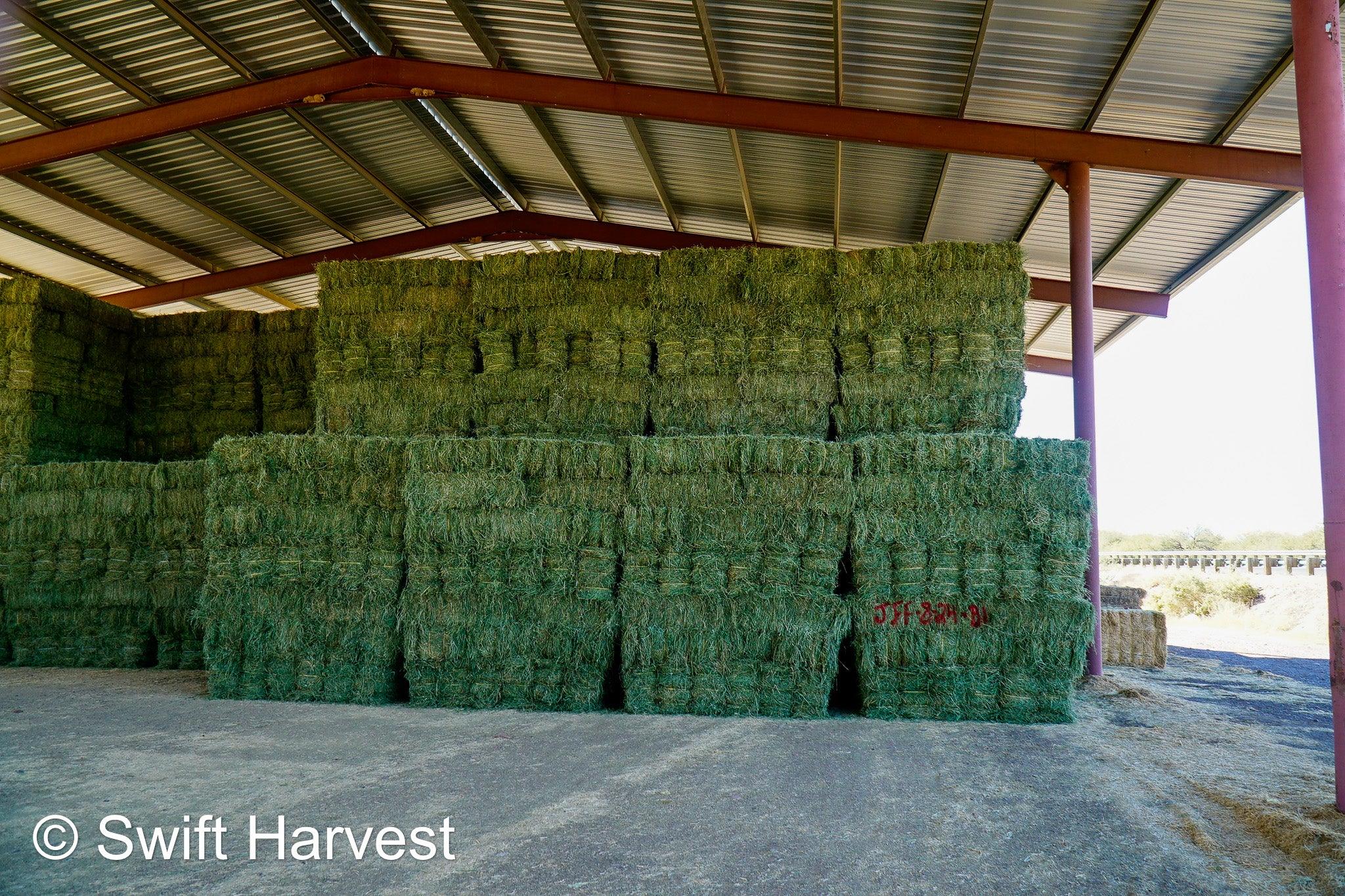 Hay, We Have Tons Of It! – swiftharvest.net