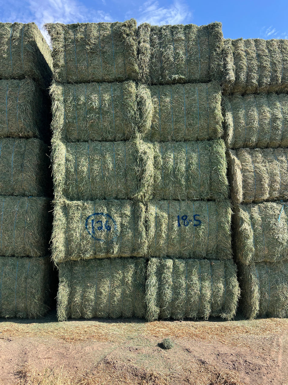 18-5 AZ Alfalfa Big Bales