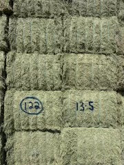 13-5 Subasta Bueno/Prem AZ Alfalfa Big Bales CP 20 RFV 158 TDN 59 FACS 90/110