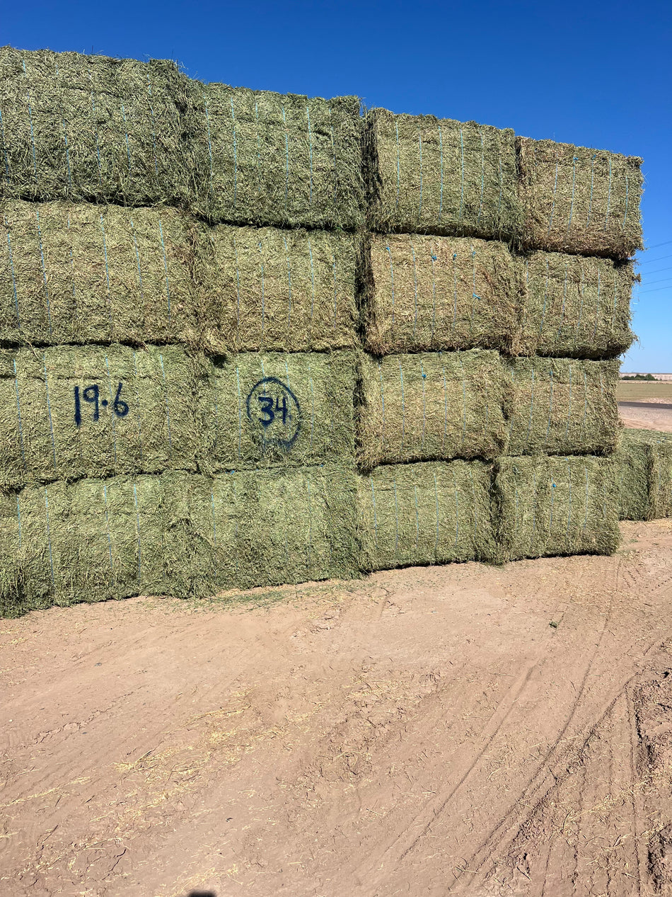 19-6 Bueno/Supremo AZ Big Bales Alfalfa CP 19 RFV 159 TDN 59FACS 96/110