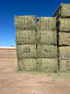 42-6 Fair AZ Big Bales CP 17 RFV 144 TDN 56 FACS 89/110