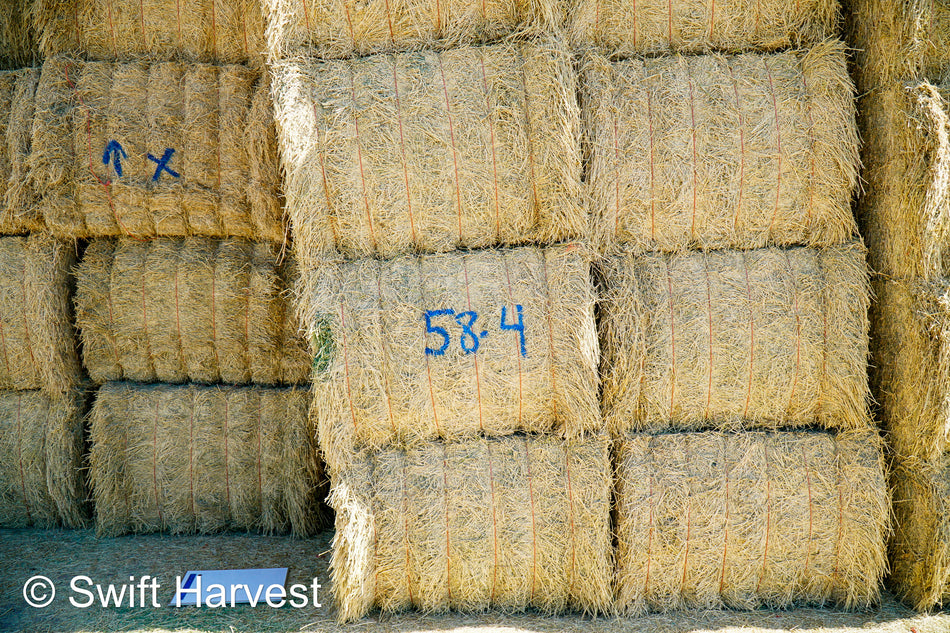 58-4  Supreme/Premium AZ Alfalfa Test Hay Big Bales CP 20 RFV 189 TDN 60 FACS 92/110