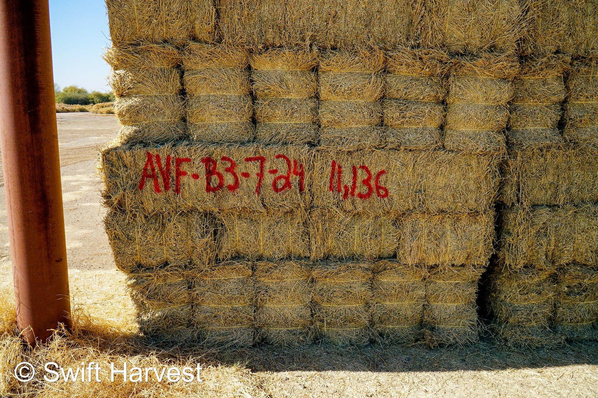 Arlington Hay Company Arizona Alfalfa #1 Retail AVF-B3-7-24  #1 Retail  Az. Alfalfa  FACS 93/110 Non GMO Non Roundup Ready Steamer Hay