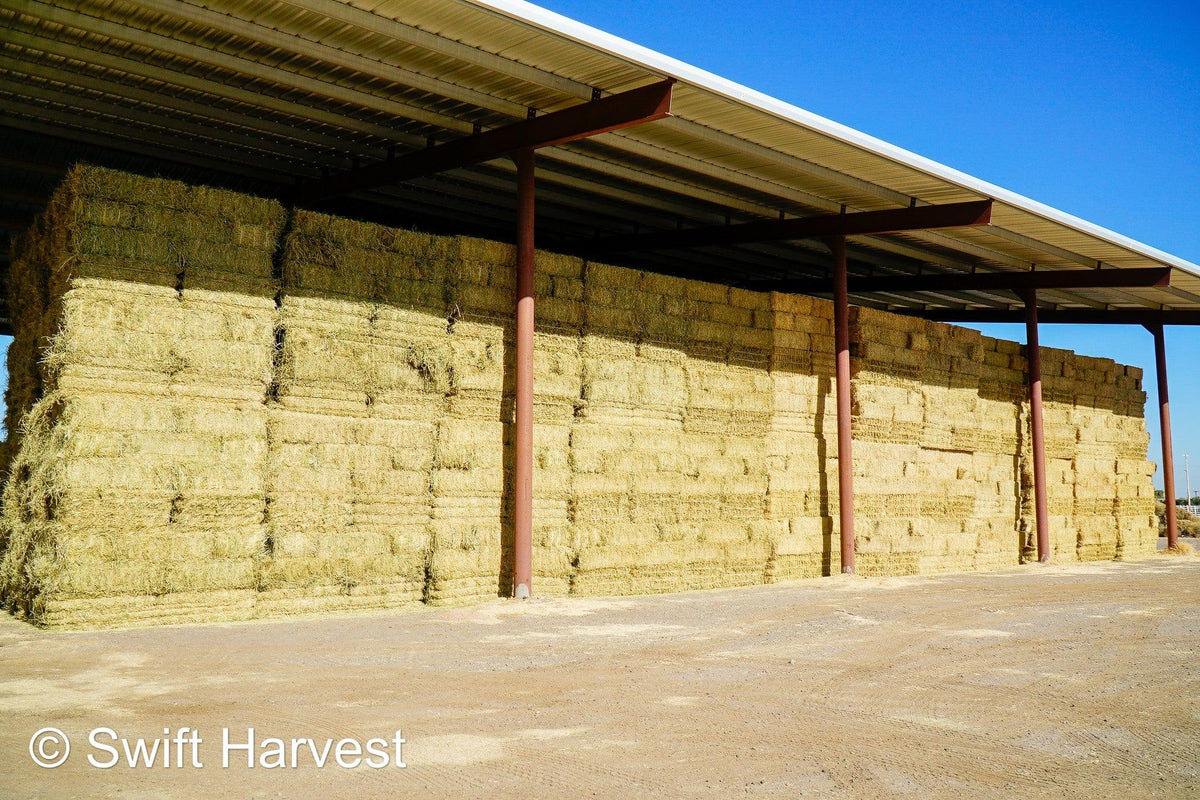 Arlington Hay Company Arizona Alfalfa #1 Retail AVF-B3-7-24  #1 Retail  Az. Alfalfa  FACS 93/110 Non GMO Non Roundup Ready Steamer Hay