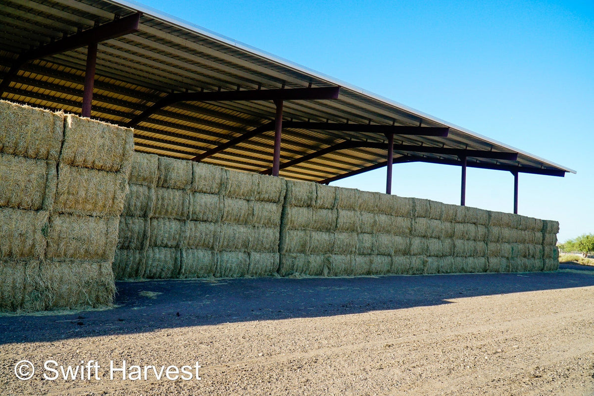 Arlington Hay Company Arizona Alfalfa Big Bale AFV-3-24- Barn 3 Good / Premium RFV 166.99 Cp 19.46 TDN 58.47 FACS 99/110