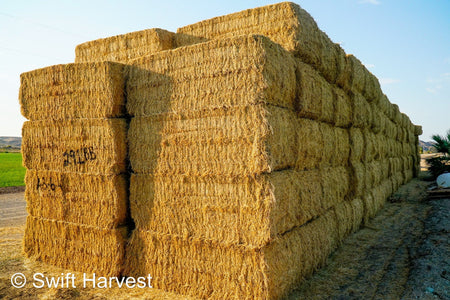 Baldenegro Farms Big Bale Alfalfa A-3-6-4 Good/Fair AZ Alfalfa Big Bales CP 18 RFV 153 TDN 57 FACS 97/110