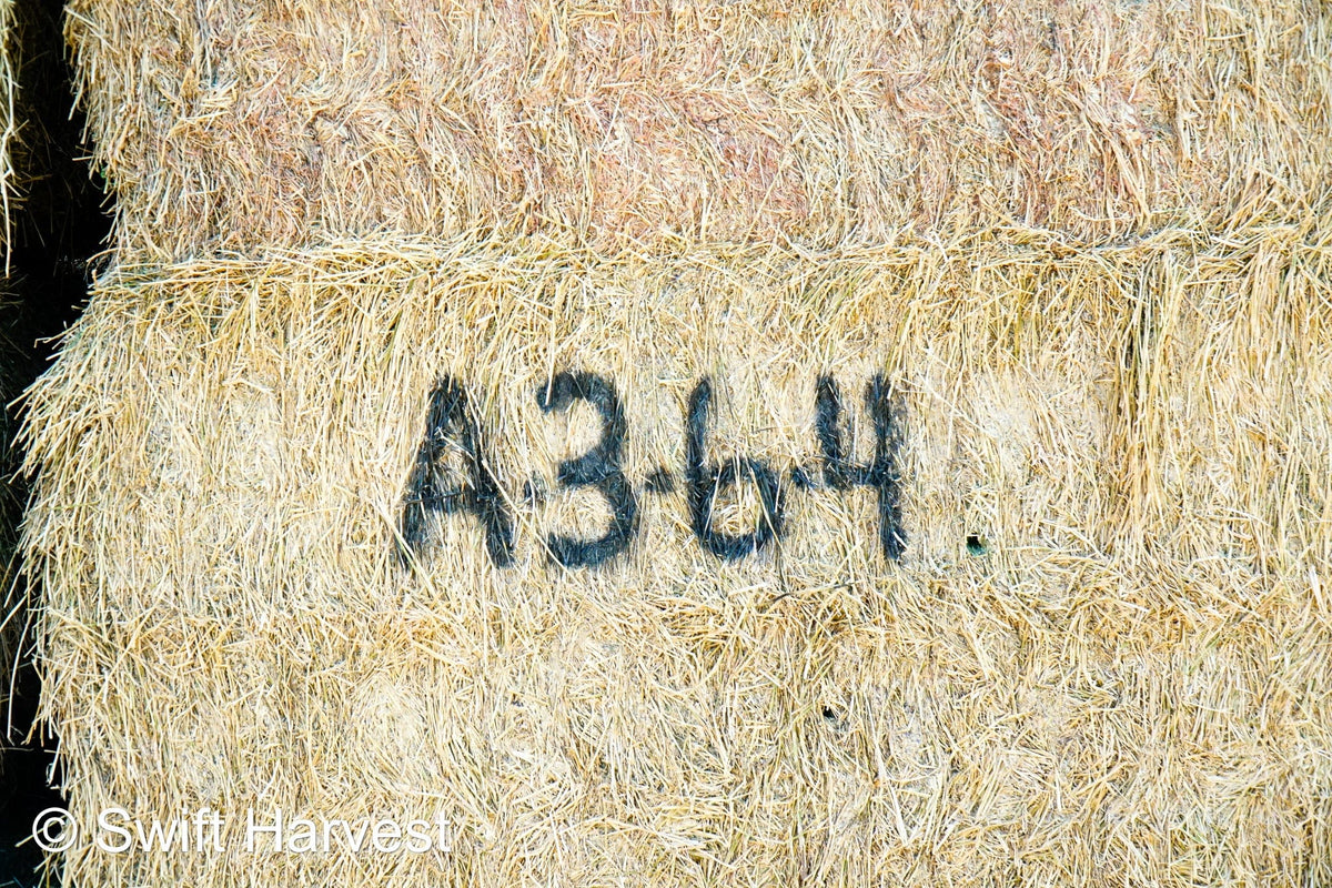 Baldenegro Farms Big Bale Alfalfa A-3-6-4 Good/Fair AZ Alfalfa Big Bales CP 18 RFV 153 TDN 57 FACS 97/110