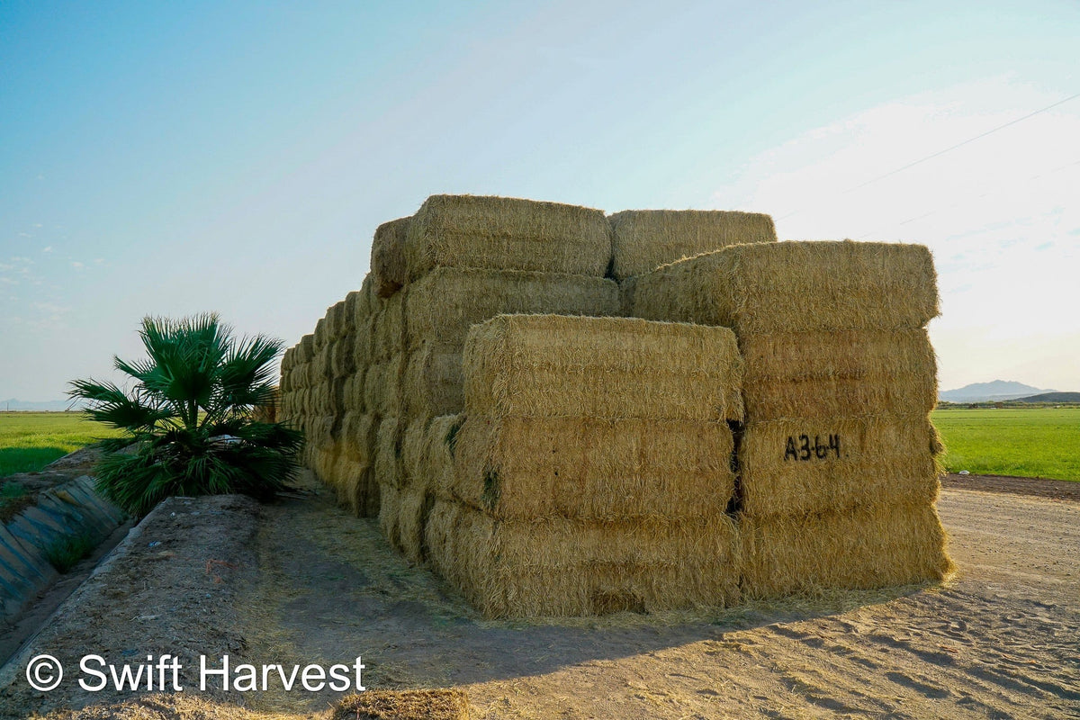 Baldenegro Farms Big Bale Alfalfa A-3-6-4 Good/Fair AZ Alfalfa Big Bales CP 18 RFV 153 TDN 57 FACS 97/110