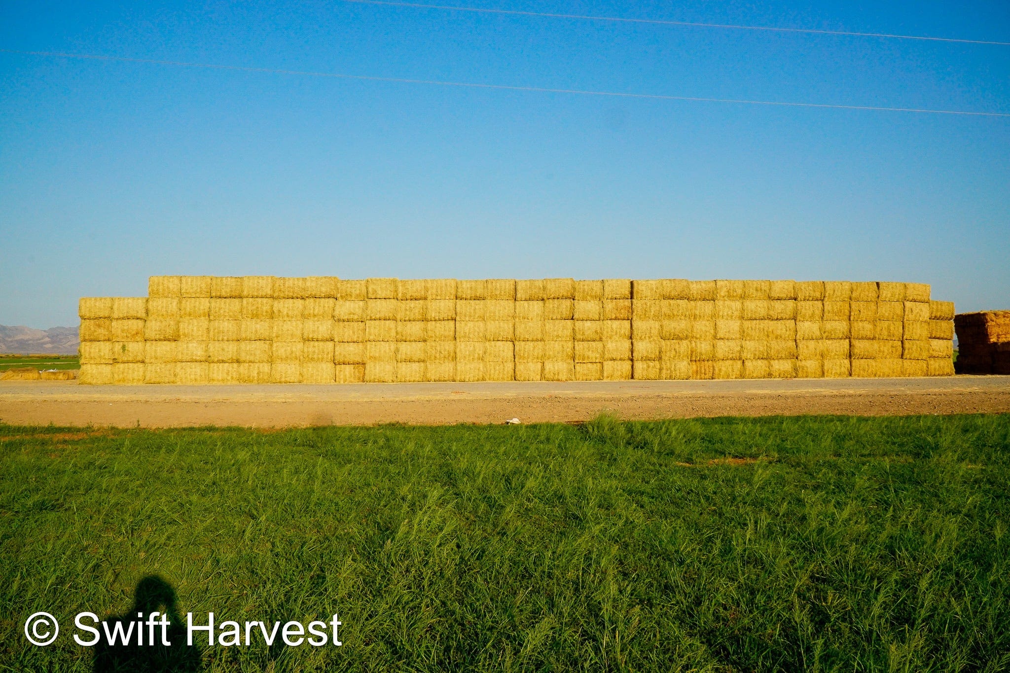 Baldenegro Farms Big Bale Alfalfa A-3-6-4 Good/Fair AZ Alfalfa Big Bales CP 18 RFV 153 TDN 57 FACS 97/110