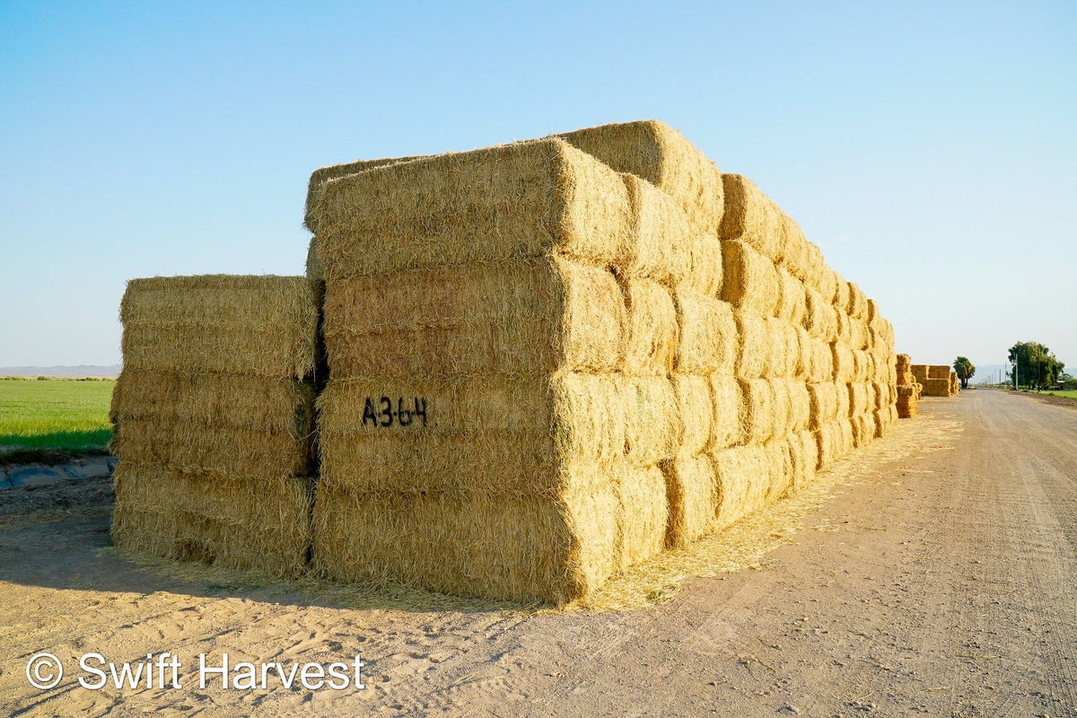 Baldenegro Farms Big Bale Alfalfa A-3-6-4 Good/Fair AZ Alfalfa Big Bales CP 18 RFV 153 TDN 57 FACS 97/110