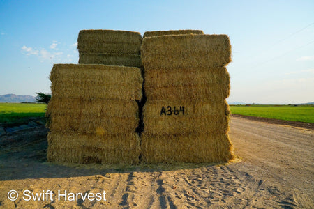 Baldenegro Farms Big Bale Alfalfa A-3-6-4 Good/Fair AZ Alfalfa Big Bales CP 18 RFV 153 TDN 57 FACS 97/110