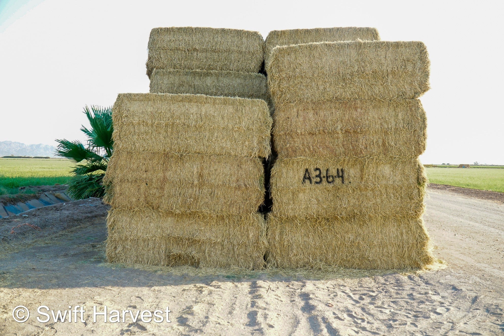 Baldenegro Farms Big Bale Alfalfa A-3-6-4 Good/Fair AZ Alfalfa Big Bales CP 18 RFV 153 TDN 57 FACS 97/110