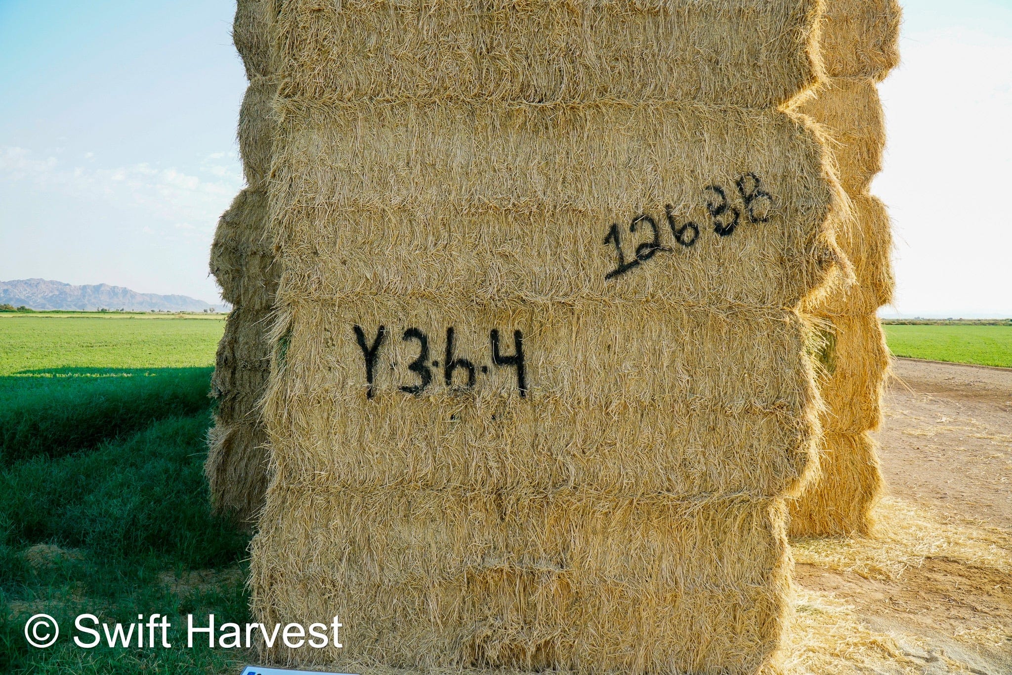 Baldenegro Farms Big Bale Alfalfa Y-3-6-4 Fair AZ Alfalfa Big Bales Test Hay  CP 16 RFV 131 TDN 56 FACS 95/110