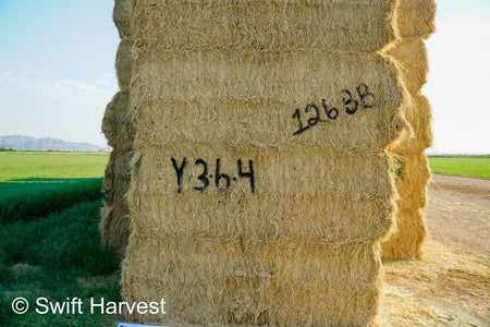 Baldenegro Farms Big Bale Alfalfa Y-3-6-4 Fair AZ Alfalfa Big Bales Test Hay  CP 16 RFV 131 TDN 56 FACS 95/110