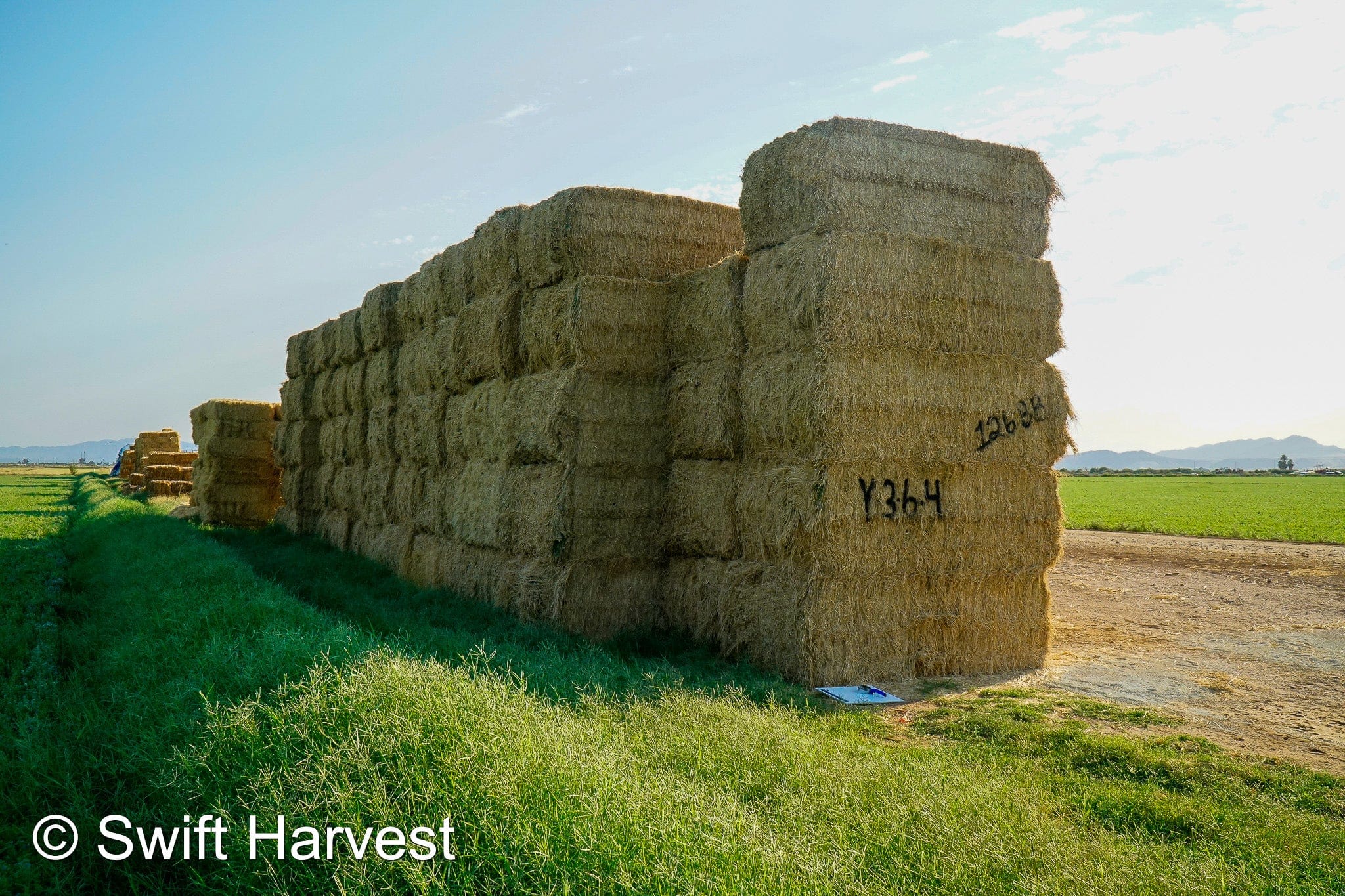 Baldenegro Farms Big Bale Alfalfa Y-3-6-4 Fair AZ Alfalfa Big Bales Test Hay  CP 16 RFV 131 TDN 56 FACS 95/110