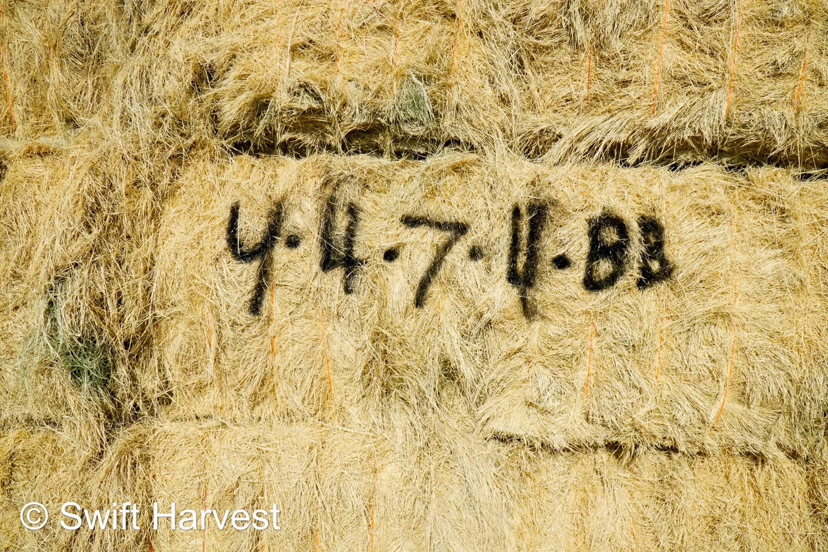 Baldenegro Farms Big Bale Alfalfa Y-4-7-4-BB Az Bermuda Big Bales FACS 94/110