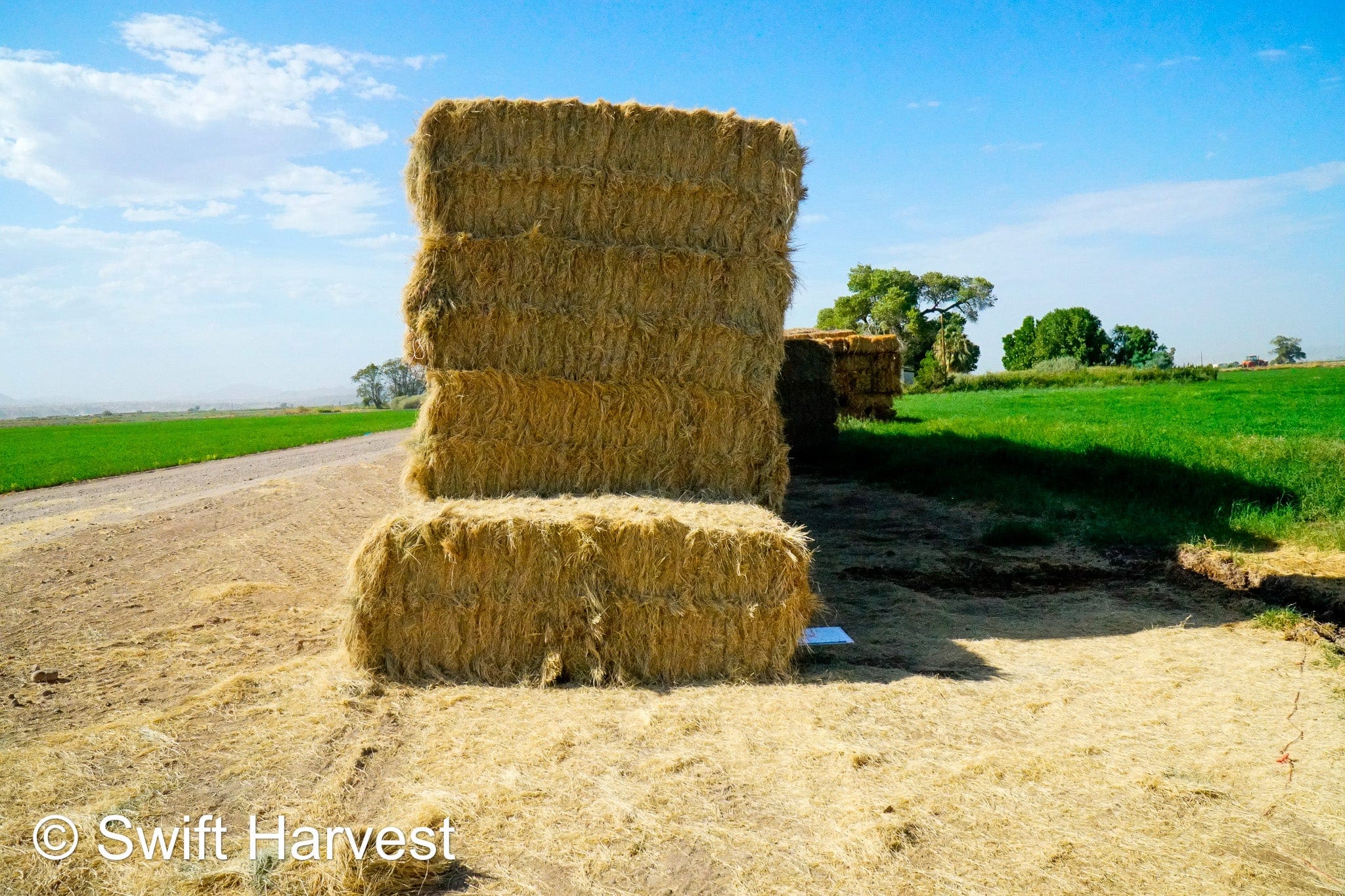 Baldenegro Farms Big Bale Alfalfa Y-4-7-4-BB Az Bermuda Big Bales FACS 94/110