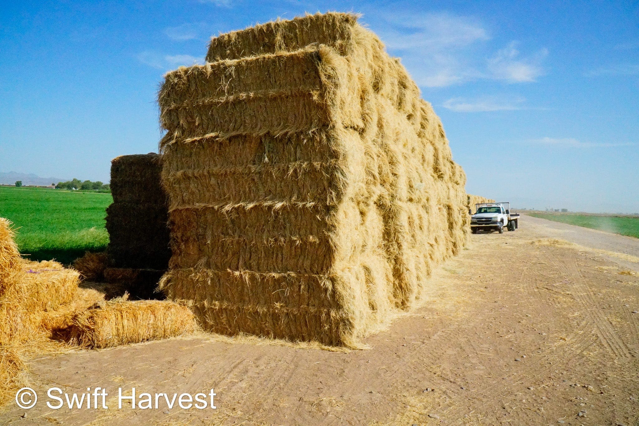 Baldenegro Farms Big Bale Alfalfa Y-4-7-4-BB Az Bermuda Big Bales FACS 94/110