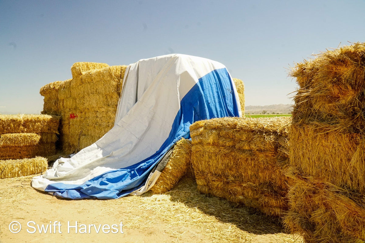 Baldenegro Farms Retail Oat Hay M-1-4-3 Oat Hay Small Bale M-1-4-3 Retail 95 lbs per bale