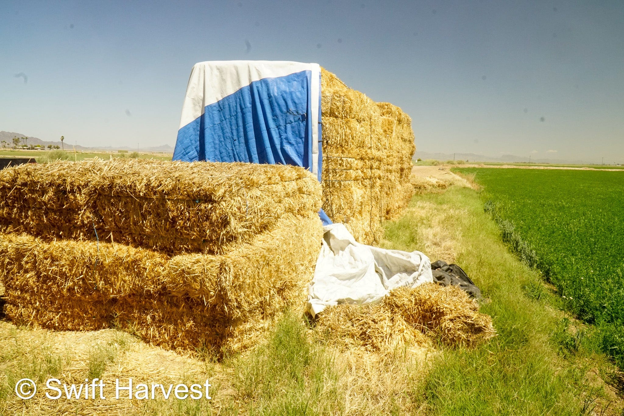 Baldenegro Farms Retail Oat Hay M-1-4-3 Oat Hay Small Bale M-1-4-3 Retail 95 lbs per bale