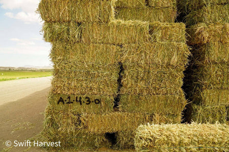 Baldenegro Farms Retail Oat Hay Oat Hay Small Bale A-1-4-3 1844 Retail 95 lbs  per bale