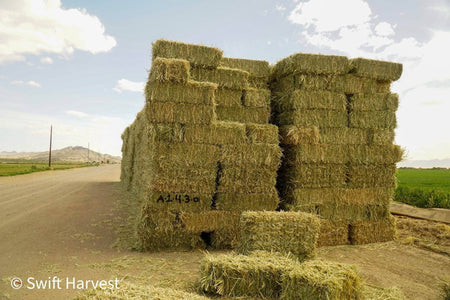 Baldenegro Farms Retail Oat Hay Oat Hay Small Bale A-1-4-3 1844 Retail 95 lbs  per bale