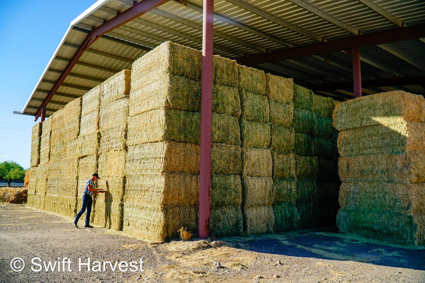 Gila River Partners Arizona Alfalfa Big Bale GRP-3-24- B2 Barn 2 FACS 107/110