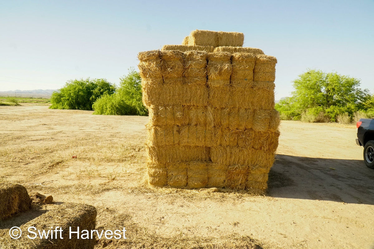 H&C Farms #1 Alfalfa 3 String Bale Hay Arizona Alfalfa 3-String Hay under 100 lbs B1-6-23A per bale